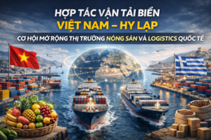 hop-tav-van-tai-bien